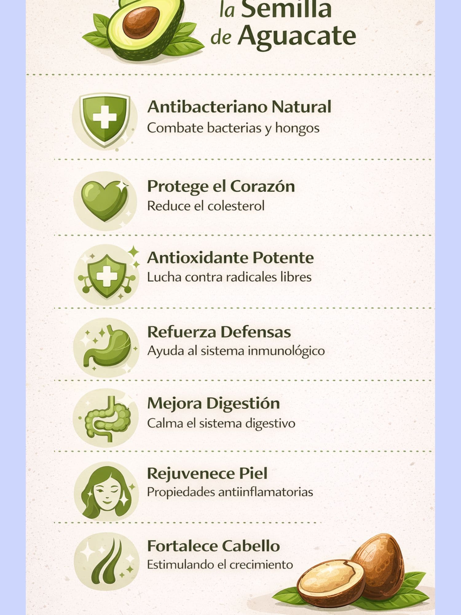 Infografía educativa en español mostrando los 7 beneficios principales de la semilla de aguacate: antibacteriano natural, protección cardiovascular, antioxidante potente, refuerzo del sistema inmunológico, mejora digestiva, rejuvenecimiento de la piel y fortalecimiento del cabello, con iconos ilustrados en tonos verdes sobre fondo beige