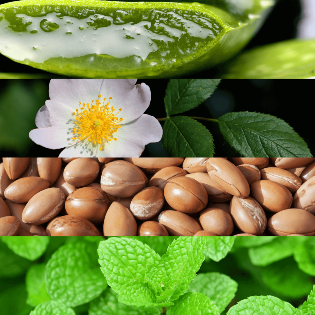 Productos naturales para la cosmética corporal durante la depilación: aloe vera, rosa mosqueta, aceite de argán y aceite de menta
