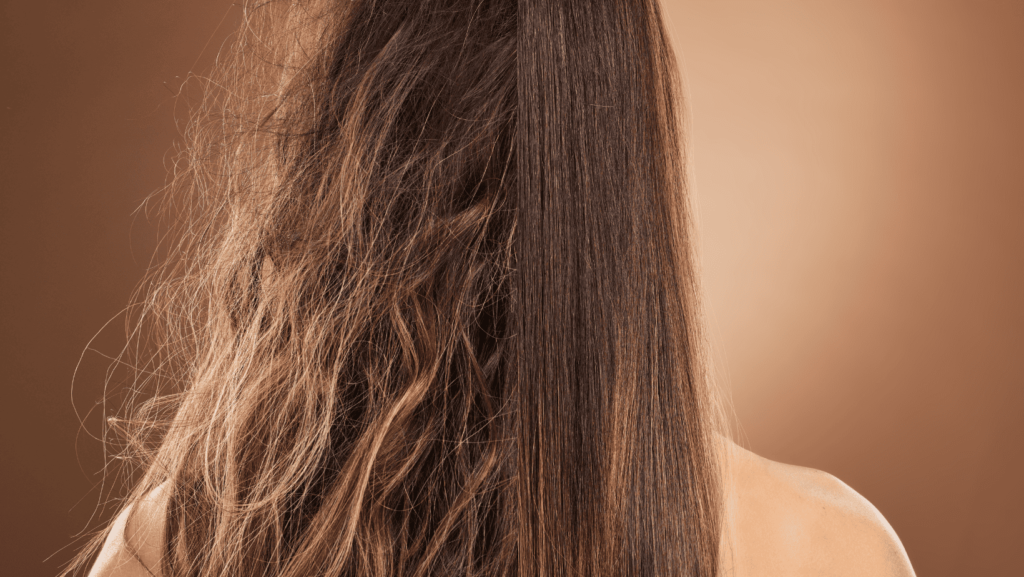 cabello deshidratado